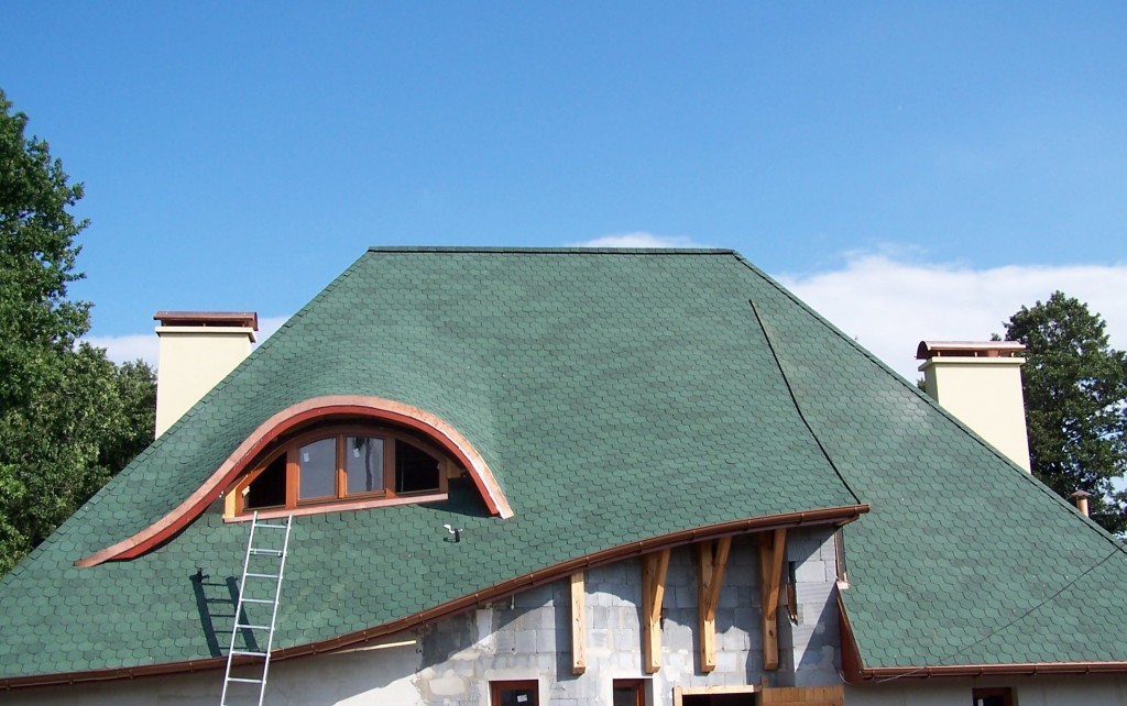 Bibershield04 - Kopia