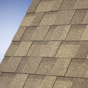 49 Cambridge 49 Earthtone Cedar