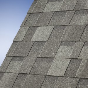 50 Cambridge 50 Harvard Slate