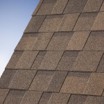 Cambridge 53 Autumn Brown