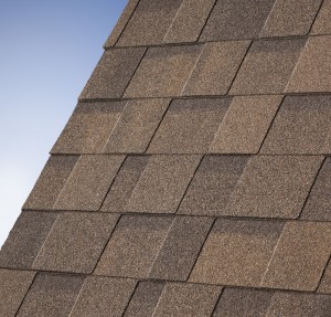 53 Cambridge 53 Autumn Brown